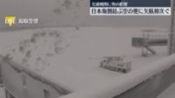 日航・全日空で計68便欠航　日本海側を中心に雪強まる