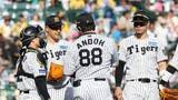 「【阪神】終盤に逆転許し敗戦　無失点好投の先発・大竹が8回に突如捕まる　打線も犠牲フライの１点のみと覇気なく」の画像1