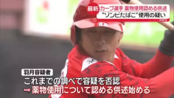 広島カープ選手“ゾンビたばこ”使用認める供述