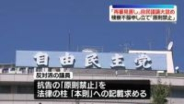 “再審制度見直し”自民党内で議論大詰め　法務省が再修正案提示へ