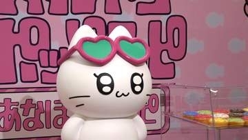 ギャルに憧れるネコ・ギャルネコ、ポップアップを取材　動画の総再生回数“5700万回”　その魅力に迫る