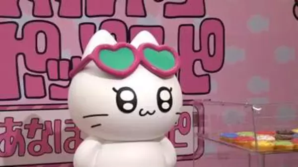 ギャルに憧れるネコ・ギャルネコ、ポップアップを取材　動画の総再生回数“5700万回”　その魅力に迫る