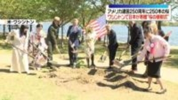 米ワシントンで日本から寄贈“桜の植樹式” 　建国250周年を記念