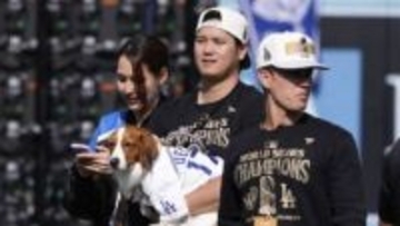 デコピンの　“天使の寝顔”　腕にもたれかかり豪快におなか見せすやすや