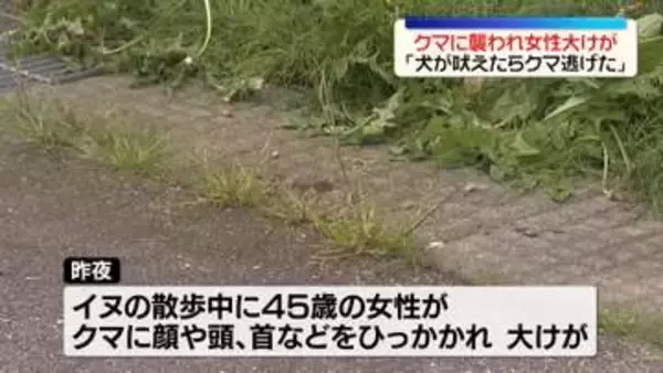 住宅街で犬の散歩中クマに襲われ…女性大けが　富山市