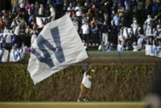 【珍事】MLBで観客が打球の行方より注目したものは？野手も突如現れた追加の“守備要員”に驚き