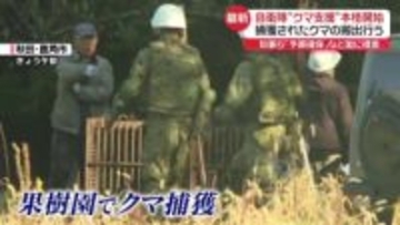 自衛隊“クマ支援”本格開始　捕獲後の搬出担う　警察官も13日からライフル銃で駆除へ