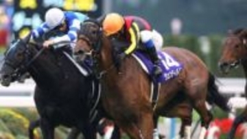 【競馬】ジェンティルドンナ死す　史上4頭目の牝馬3冠　ジャパンカップ連覇などGⅠ7勝