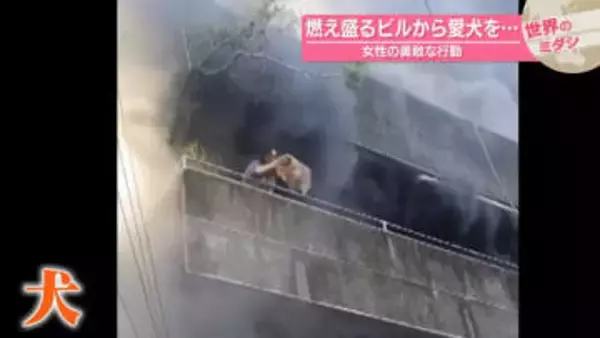 燃え盛るビルから愛犬を…女性の勇敢な行動　フィリピン・セブ島【 #世界のミダシ 】
