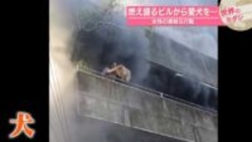 燃え盛るビルから愛犬を…女性の勇敢な行動　フィリピン・セブ島【 #世界のミダシ 】