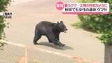 「襲いかかるクマ…福島市で工場の防カメに　秋田市ではクマに襲われたとみられる女性遺体」の画像1