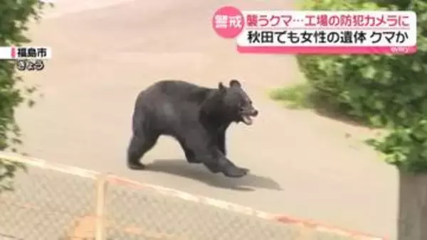 襲いかかるクマ…福島市で工場の防カメに　秋田市ではクマに襲われたとみられる女性遺体