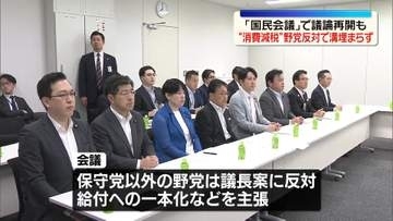国民会議で消費減税の議論再開　野党の多くが反対…溝埋まらず