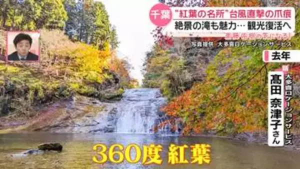【斎藤佑樹が取材】台風直撃の爪痕……千葉“紅葉の名所”復活へ　温泉旅館“休業1か月”で損失400万円『every.気になる！』