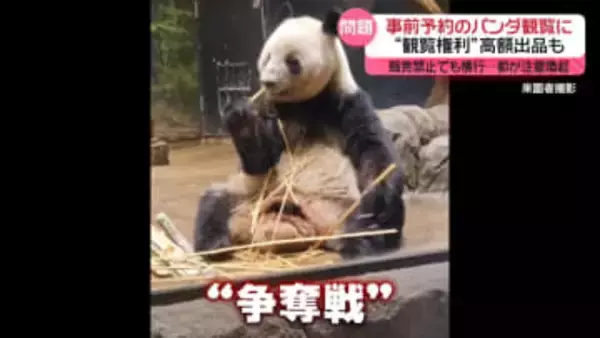 「やめてほしい…」“パンダ観覧権利”ネットに高額出品　販売禁止でも横行　都が注意喚起