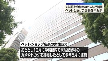 天然記念物指定のカメなど捕獲　ペットショップ店長を不起訴