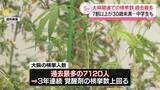 「去年1年間の大麻の検挙人数が7120人と過去最多　7割以上が30歳未満」の画像1