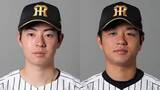 「【阪神】巨人戦3連勝を目指し先発・下村海翔を1軍登録　前日好投し12勝目を飾った髙橋遥人を登録抹消」の画像1