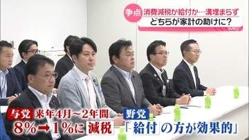 「減税」推す与党と「給付」主張する野党、溝埋まらず　どちらが家計の助けに？　子育て世帯に聞く