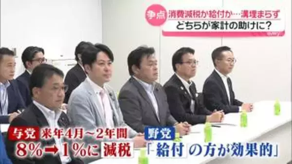 「減税」推す与党と「給付」主張する野党、溝埋まらず　どちらが家計の助けに？　子育て世帯に聞く