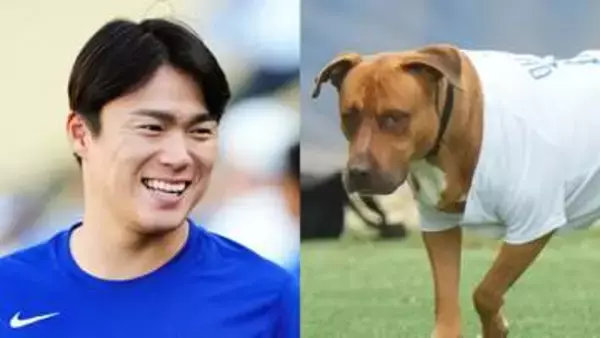 山本由伸が愛犬・カルロスと12勝目を祝杯！左手のおやつ狙うジャンプの音が何度も響く その時が訪れ大胆キャッチに「うわっ」と勢いにおされる