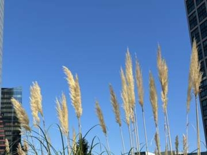 【8日の天気】朝は今季一番の冷え込み　日中は秋晴れで“夏日”　一日の寒暖差大