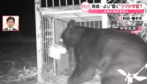 クマがより賢く？　300kgの「箱ワナ」倒す、踏み板をかわす巧妙な個体も…　同じ場所にも出没　どうすれば【#みんなのギモン】