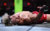 「【UFC】圧倒勝利の鶴屋怜　フライ級13位にランクイン「さぁ年内誰とやろうか」　王者ヴァン、パントージャ、ケイプ…強豪揃い　平良達郎、堀口恭司も上位に」の画像1