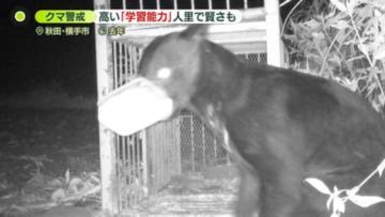 クマは「学習能力が高い」箱ワナからエサだけとる映像も　人里で「ずる賢くなってくる可能性」