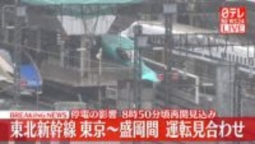 東北新幹線と山形新幹線の一部区間で運転見合わせ　午前8時50分頃再開見込み　停電トラブルの原因は倒木