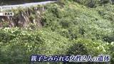 「草むらに緑色のシートで遺棄“母娘”2遺体…発見遅らせるためか　奈良市」の画像1