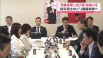 “再審制度見直し”審査も結論出ず　抗告禁止めぐり議論継続へ