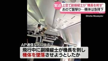 イスラエル行きの旅客機内で副操縦士が“機長刺す”　機体は急降下も…乗客が“操縦”緊急事態救う