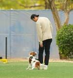 「【大谷翔平】試合後に明かしたデコピンへの真率な気持ち「1年でも長く生きてほしい」「ただそれだけ」　さらりと端々に深い愛情　デコピンが描かれたスパイクで好投続きの今季」の画像1