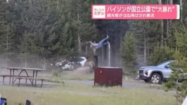 バイソンが国立公園で“大暴れ”　観光客がはね飛ばされ搬送　アメリカ