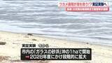 「ワカメ養殖が“海を救う”実証実験へ　長崎・大村湾の環境再生で産官学が連携」の画像1