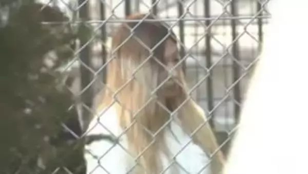 【速報】生後7か月の息子を死亡させたか、母親（32）を傷害致死容疑で逮捕「外傷ある乳児が…」通報で発覚　神奈川県警