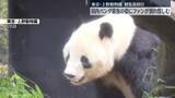 「上野動物園の双子パンダ、観覧最終日に多くのファン　国内で最後の姿」の画像1