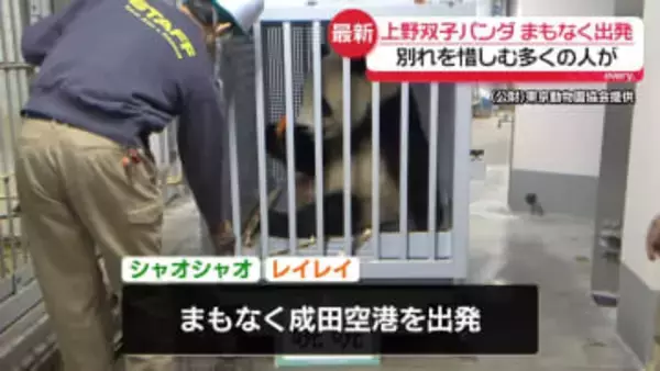 双子パンダまもなく出発…別れ惜しむ多くの人　54年ぶりに国内「ゼロ」に