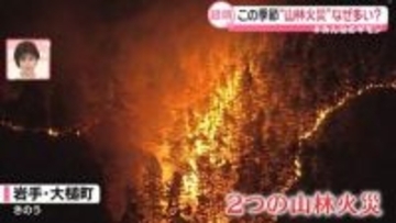 岩手“2つの山林火災”の被害拡大……「平成以降最大」と共通点も　専門家「約99％が人的要因」【#みんなのギモン】