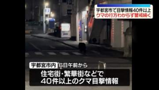 クマの目撃情報40件以上…行方わからず警戒続く　栃木・宇都宮市