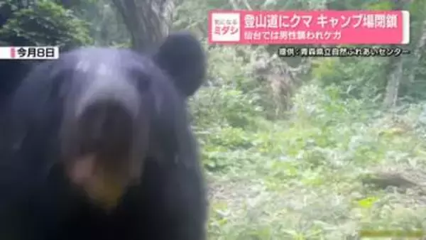 登山道にクマ キャンプ場閉鎖 仙台では男性襲われケガ
