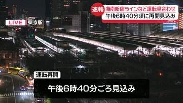 JR湘南新宿ラインなど一部区間で運転見合わせ　赤羽駅～池袋駅間で人身事故