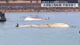 「辺野古沖で小型船2隻が転覆　女子高校生ら2人死亡」の画像1