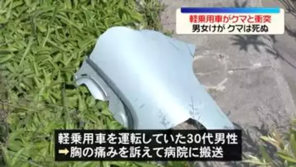 軽乗用車がクマと衝突　男女ケガ、クマは死ぬ　宮城・登米市