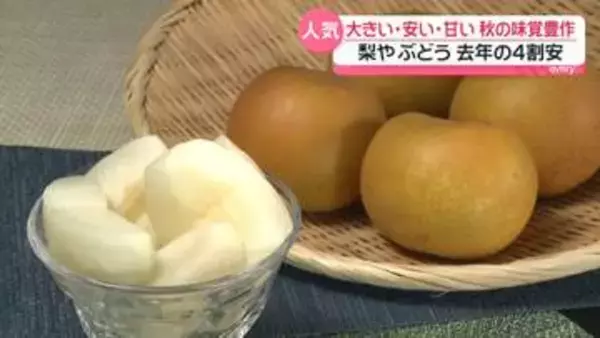 大きい・安い・甘い…秋の味覚の梨やぶどうが“豊作”円安追い風に海外にも販路拡大