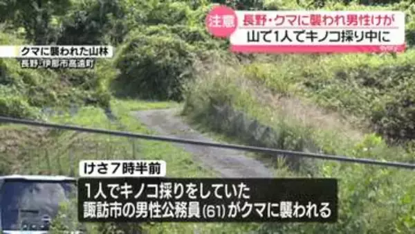 山林でキノコ採り中に…クマに襲われ男性けが　長野・伊那市