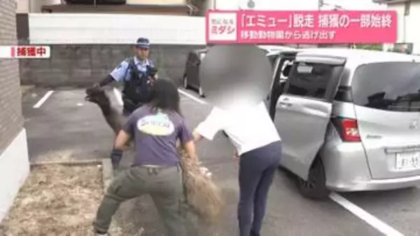 「エミュー」脱走　捕獲の一部始終　移動動物園から逃げ出す