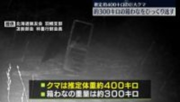 推定体重400キロの巨大クマ　300キロの箱わなひっくり返す