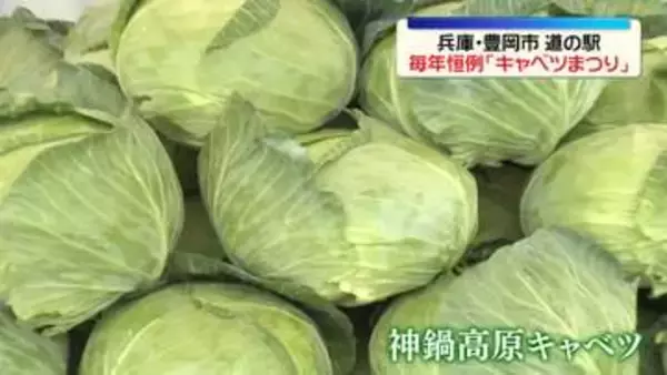 道の駅で毎年恒例の「キャベツまつり」開催　兵庫・豊岡市